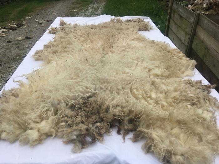 2021 Boreray Fleece from Dahila