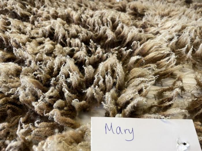 2022 Shetland Shearling Fleece from Mary