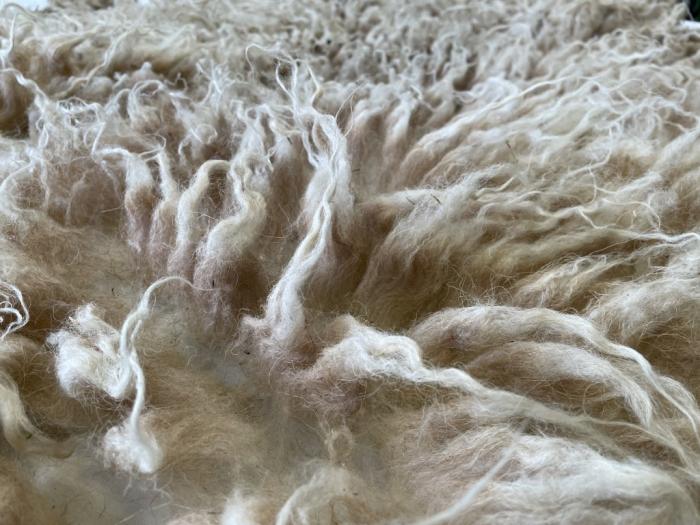 2022 Boreray Shearling Fleece from Pippa